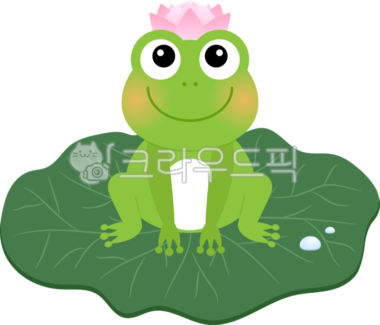 green,png,reptile,leaf,Lotus,cute,smile,flower,spring,water drop,Gyeongchip,lotus leaf,frog,illustration,graphic