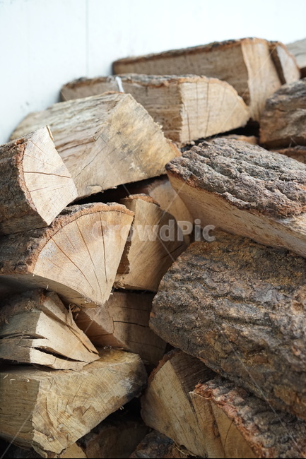 나뭇결,원목,통나무,목재,땔감,나무,trees,wood