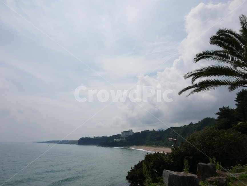 해수욕장,해변,파도,해수욕,제주,제주도,국내여행,바다,섬,배,여름,휴가,관광,여행,자연,휴식,여유,들판,푸름,생명,landscape,travel,tour,domestic,island,vacation,jeju,korea,summer,field,nature,대한민국,자연,풍경,nature,landscape,outdoors,옥외