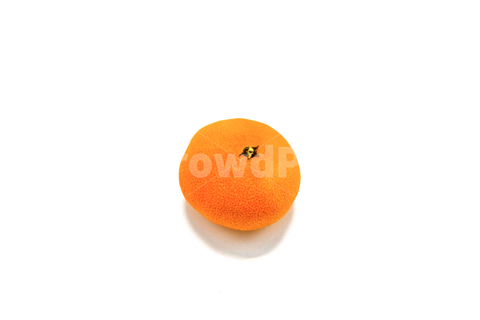 귤,누끼,과일,흰배경,오브젝트,감귤,음식,food,object,사물,스튜디오,흰색배경,흰색,white,화이트,주황색,tangerine,fruit,자연물,식재료,removebackground,심플,simple,음식,식재료,요리,food,cook,meal,dishes,food reserves,과일,열매,fruit,누끼,remove background