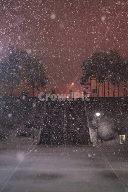 snow,colorful,snap,korea,눈,한국,색감,스냅,사진,스냅사진,color,snowing,산책로,산책,공원,park,겨울,계절,winter,season,야경,밤,풍경,nightscape,night,landscape,감성,sensible,feeling,storm,폭풍,outdoors,옥외,nature,자연,blizzard,눈보라,weather,날씨