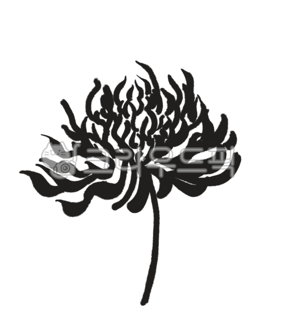 국화,꽃,art,국,한국화,사군자,서예,국화일러스트,흑백,한국화일러스트,서예일러스트,흑백일러스트,한국적인,전통,그래픽,일러스트,아트,디자인,벡터,graphic,illust,illustration,design,vector,일러스트레이션