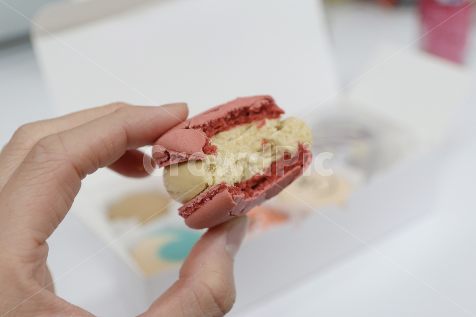 마카롱,디저트,뚱카롱,간식,dessert,cafr,카페,사탕,캔디,candy,파이,pie
