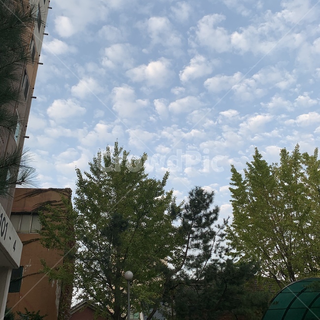 구름,하늘,풍경,감상,건물