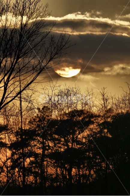 일몰,자연,아름다움,노을,나무와태양,자연,풍경,nature,landscape,outdoors,옥외,sunlight,햇빛,sky,하늘