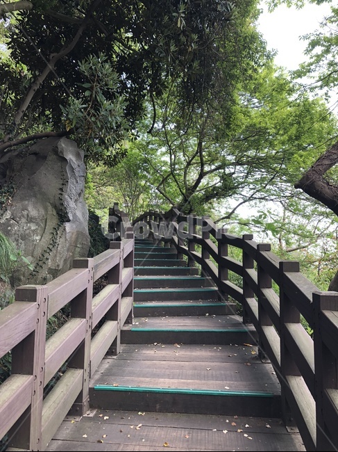 outdoors,handrail,난간,길,제주도,제주,녹색,자연,풍경,nature,landscape