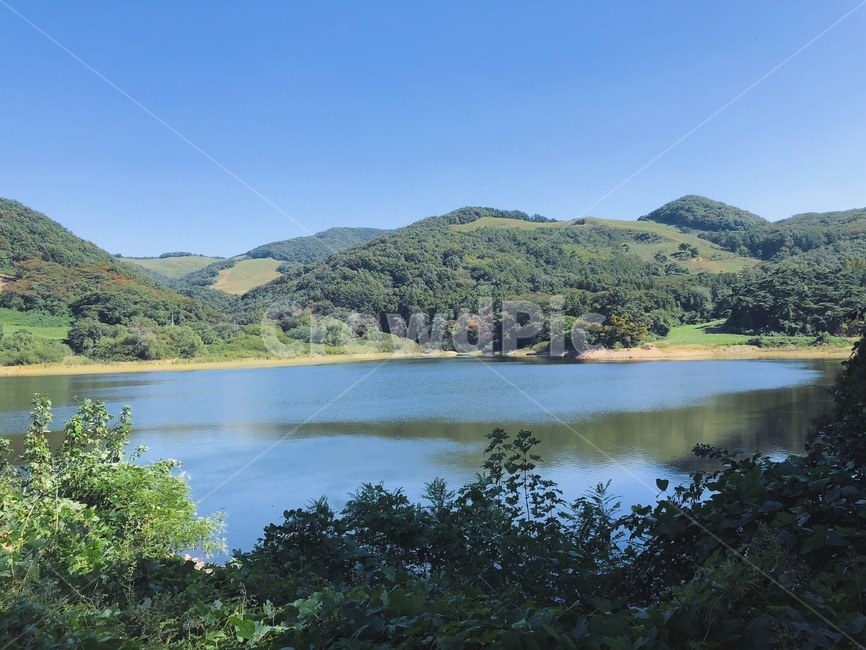 서산,호수,저수지,lake,물,water,숲,나무,자연,식물,plant,그린,초록,forest,tree,green,하늘,sky,산,mountain,outdoors,nature,옥외,초원,목장,반영