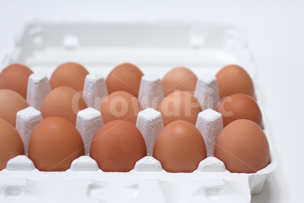 계란,달걀,음식,식재료,먹다,계란판,식료품,egg,단백질,담겨있는,신선,재료,오브젝트,요리,한판,계란한판,물방울,신선함,후레쉬,정렬,음식,식재료,요리,food,cook,meal,dishes,food reserves