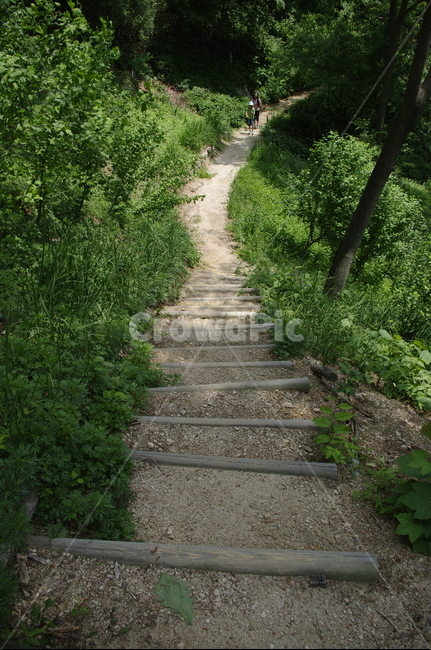 길,숲,초록,나무,잎,식물,plant,계절,봄,spring,자연,풍경,nature,landscape,outdoors,옥외,road,도로,arbour,정자,garden,정원,gravel,자갈,dirt road,흙길