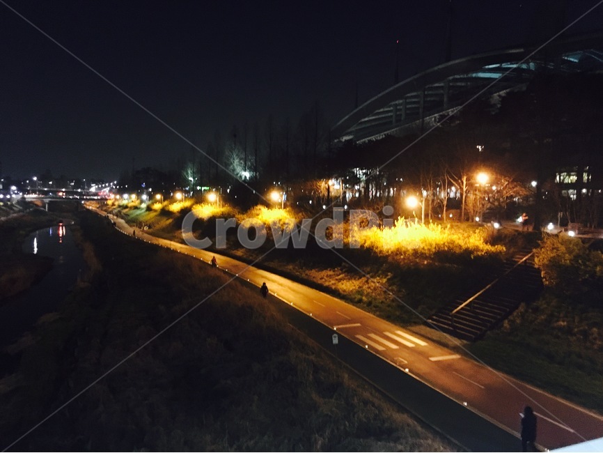 가로등,저녁,조명,밤,길,자연,풍경,nature,landscape,야경,밤,nightscape,night,asphalt,아스팔트,road,도로