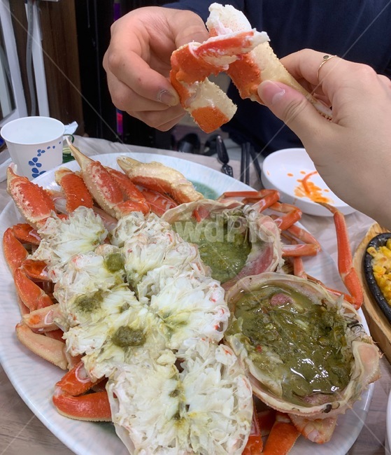 대게,킹크랩,게딱지,게내장,왕게