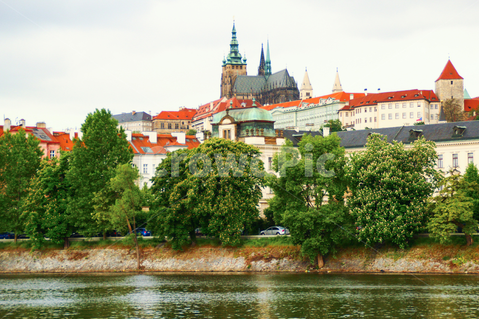 체코,프라하,성비투스대성당,프라하성,블타바강,성당,대성당,비투스,동유럽,웅장한,랜드마크,빌딩,건축,건축물,종교,유산,문화,문화유산,유명,명소,관광명소,올드타운,구시가지,붉은,지붕,붉으지붕,유럽,여행지,풍경,경치,도시,중세도시,중세건축,관광지,고딕,고딕양식,성비토대성당,강물,흐린,구름,우중충한,우울한,랜드마크,landmark,tourist attraction,해외,외국,세계,foreign,oversea,world,세계랜드마크,해외랜드마크,외국랜드마크,world landmark,world tourist attraction,건축물,건물외관,exterior,building,structure,architecture,construction,spire,첨탑,steeple,뾰족한 탑,건물,tower,탑,castle,성