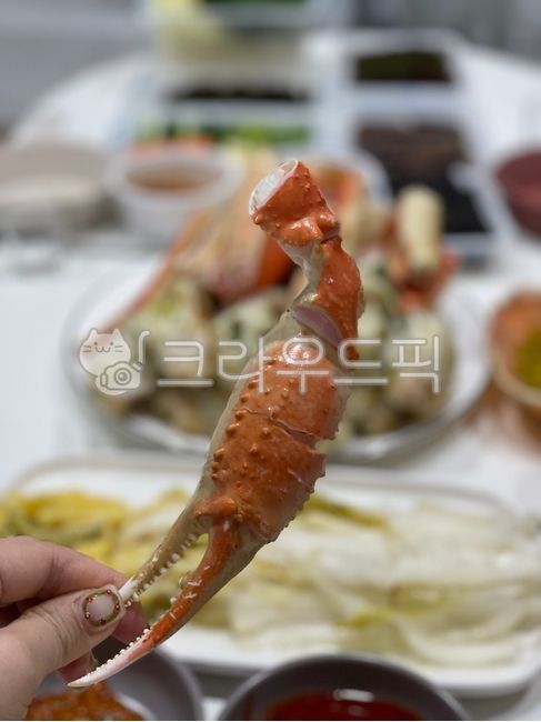 food,음식,대게,집게다리,제철음식
