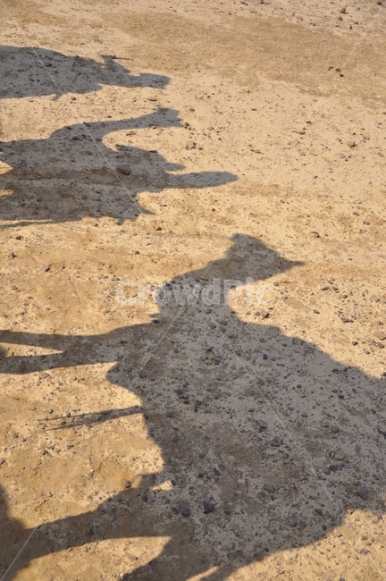낙타사파리,인도여행,자이살메르,배낭여행,실루엣,동물,animal,포유류,mammal,사람,인물,인간,human,person,인물실루엣,사람실루엣,character silhouette,human silhouette,여행,휴가,traveling,vacation,trip,ground,바닥,soil,흙