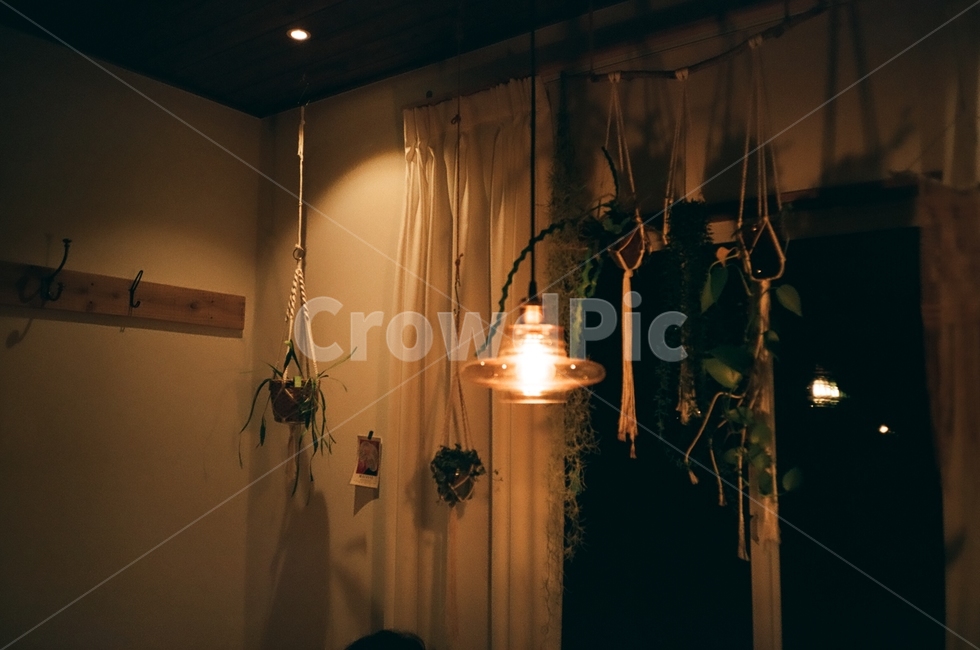 조명,밤,실내,인테리어,식물,따뜻한분위기,은은한분위기,인테리어,실내디자인,interior design