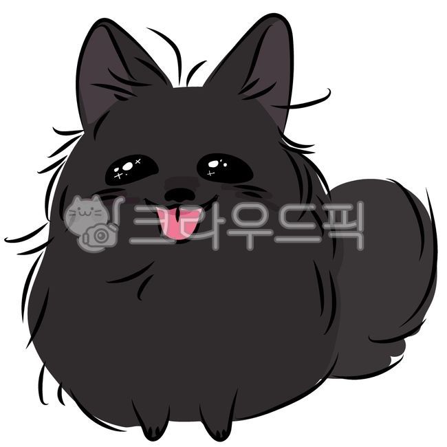 강아지,포메라니안,멍멍이,반려견,개,검은개,동물