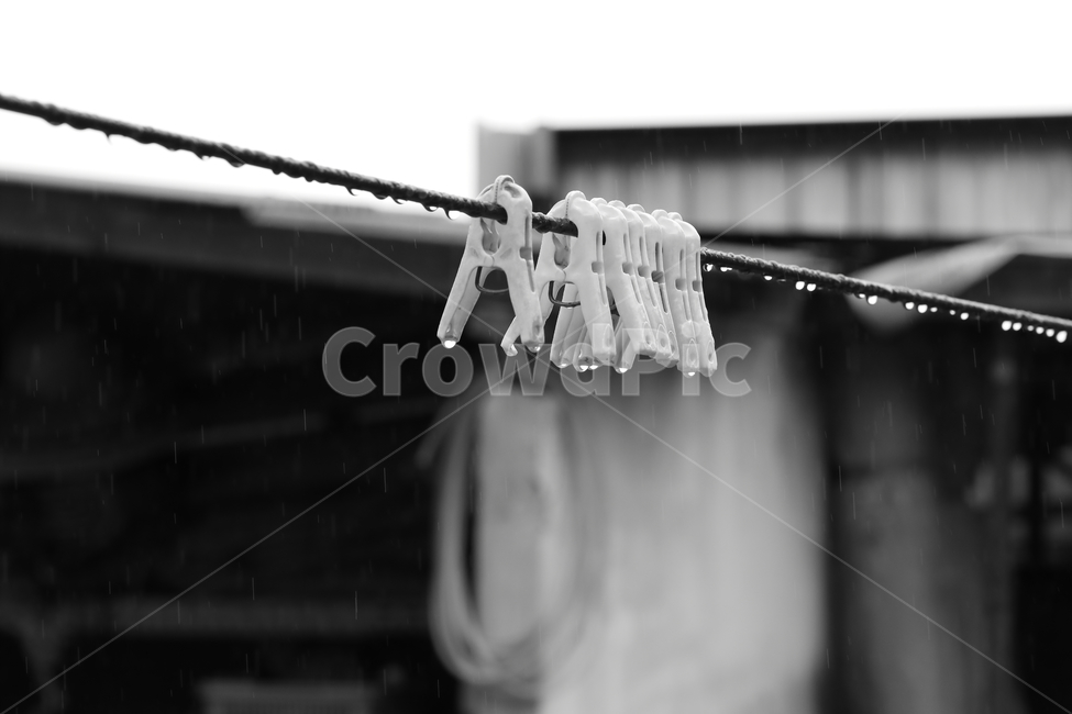 빨래집게,줄,비,방울,집,rain,흑백,모노크롬,비,비오는날,rain,rainy,흑백,모노톤,monochrome,black and white,사물,물건,오브젝트,thing,object,matter