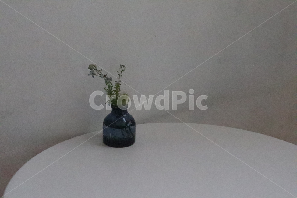 식탁,화분,분위기,mood,정적,갬성,감성,실내용화초,화분,화초,house plant
