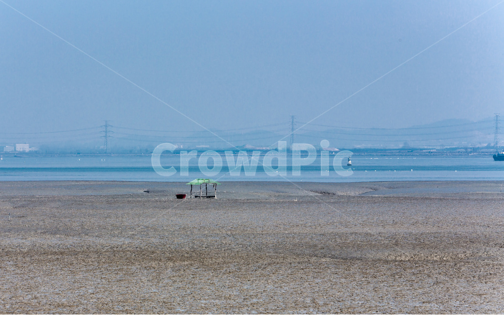영종도,갯벌,석양,풍경,환경,바닷가,썰물,자연,풍경,nature,landscape,dirt road,흙길,road,도로,gravel,자갈