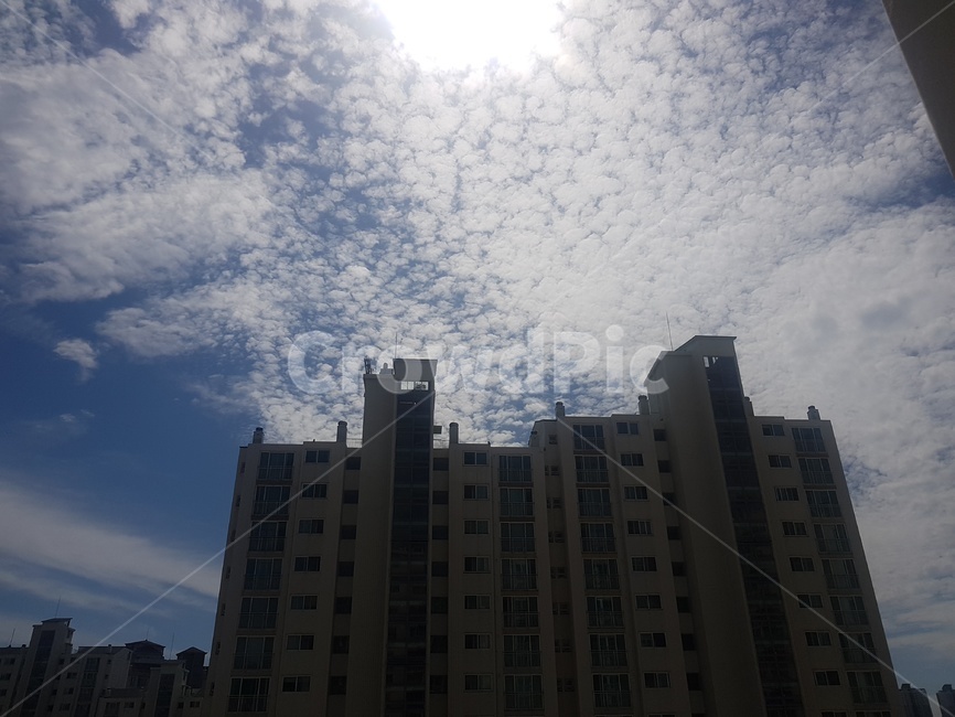 구름,하늘,양떼구름,뭉게구름,풍경,도시,풍경,city,landscape,building,건물,office building,사무실 건물,nature,자연,weather,날씨