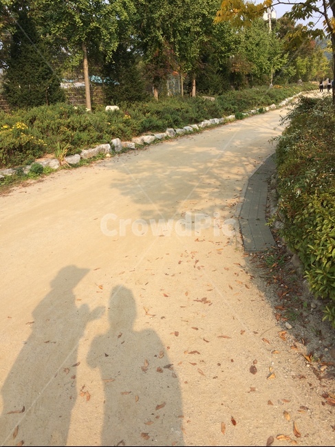 길,그림자,나뭇잎,shadow,가을,걷다,너와나,데이트,따스함,warm,fall,walk,leaves,sunny,date,나무,공원,park