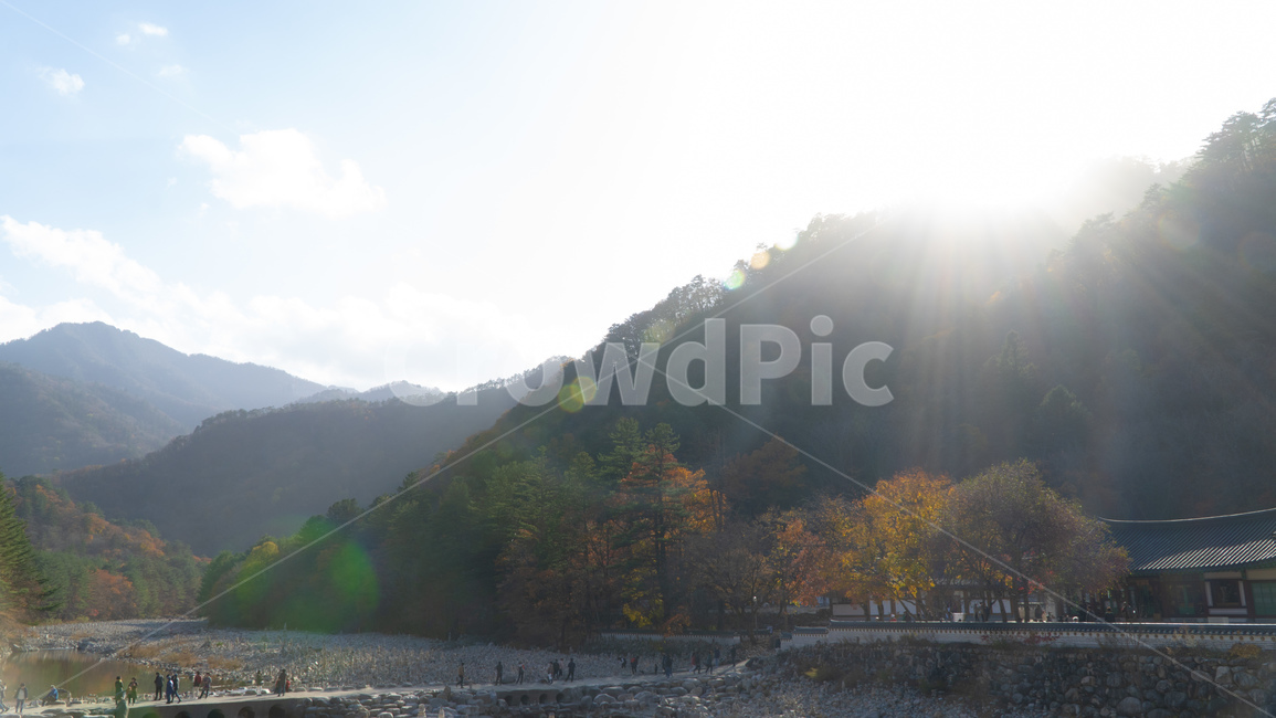 가을,아침,산,설악산,백담사,절,사찰,태양,빛,나무,자연,풍경,nature,landscape