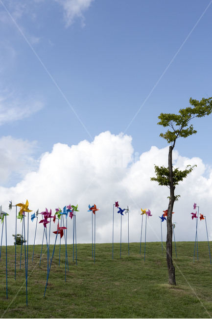 공원,바람개비,바람,희망,구름,하늘,자연,풍경,nature,landscape,식물,plants,나무,trees,wood,symbol,상징,flag,깃발