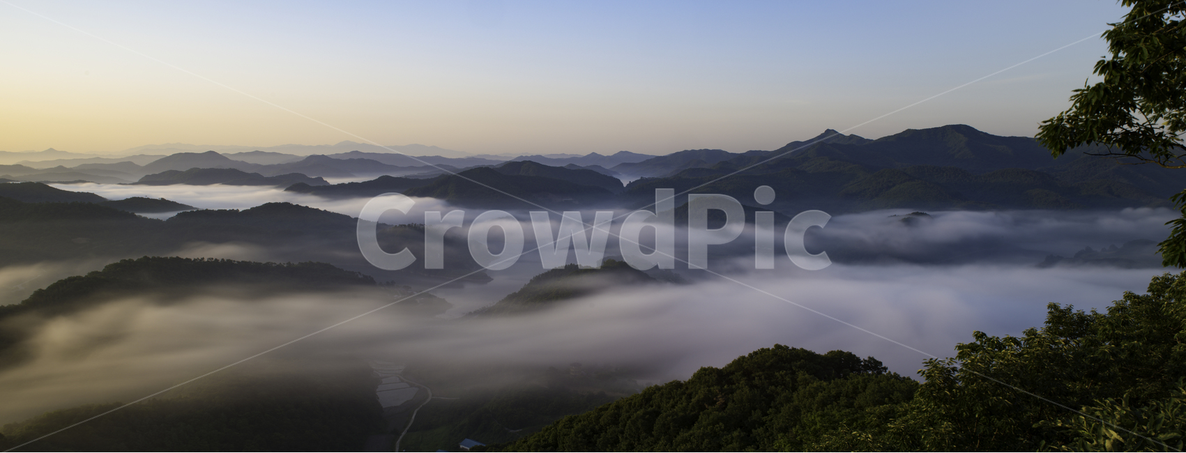 바람,물,숲,풍경,꽃,사람,전남,자연,풍경,nature,landscape,한국자연풍경,한국자연경관,korea nature landscape,weather,날씨,outdoors,옥외