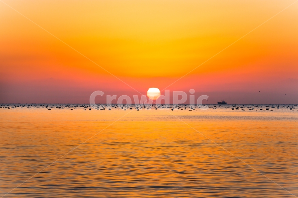 자연,풍경,바닷가,일출,여수,자연,풍경,nature,landscape,outdoors,옥외,sky,하늘,dawn,새벽,sunset,일몰,red sky,붉은 하늘,dusk,황혼