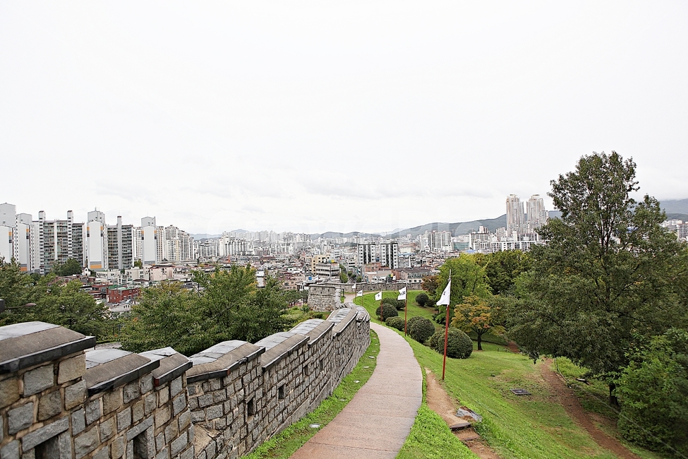 수원화성,성,성곽,길,둘레길,담,돌담,가을,자연,풍경,벽,방어벽,전통,흙담,식물,한국전통,한국문화,korean traditional,korean culture