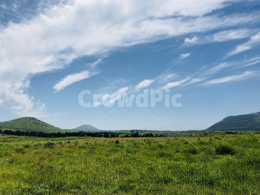 초원,grassland,가을하늘,제주도,jeju,오름,sky,scene,구름,cloud