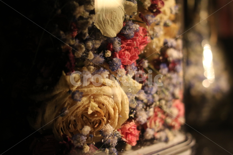드라이플라워,꽃,감성사진,장미,안개꽃,보케,꽃,flower