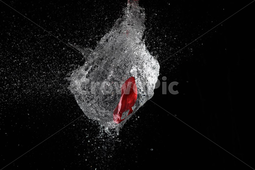 연출사진,테마사진,물풍선,풍선,물,balloon,water,연출,컨셉,콘셉,direction,concept