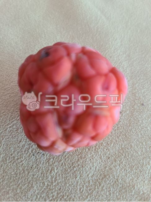 Fruit,fruit,Bokbunja,orange color,Strawberry family