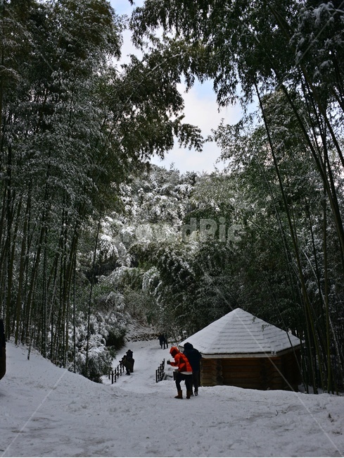 human,인간,person,사람,building,건물,nature,자연,outdoors,옥외,담양,죽녹원,죽녹원설경,대나무,정자,눈,설경,겨울,계절