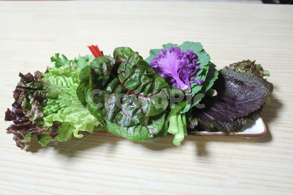 야채,채소,쌈,음식,식사,상추,쌈채소,음식,식재료,요리,food,cook,meal,dishes,food reserves,채소,야채,vegetables