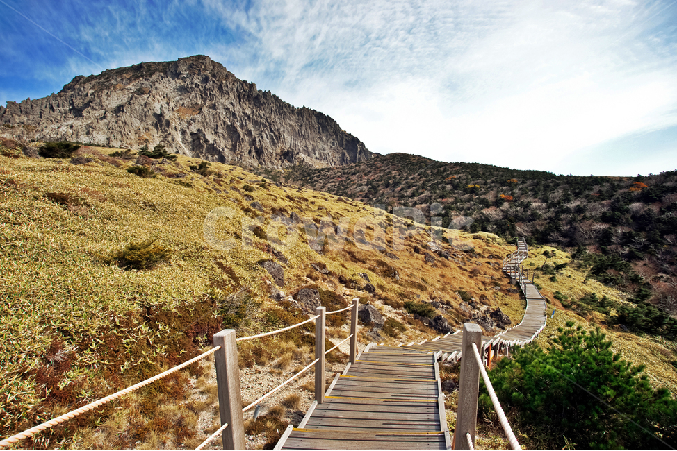 남벽,탐방로,등산로,조릿대,한라산,돈내코코스,관목식물,아열대식물,푸른하늘,흰구름,제주도,jeju,jeju island,building,건물,boardwalk,산책로,bridge,다리