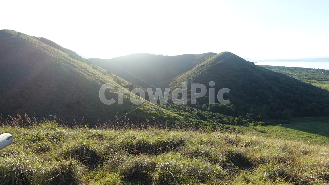자연,hill,green,초록,nature,벌판,초원,field,바다,sea,구릉,언덕,뉴칼레도니아