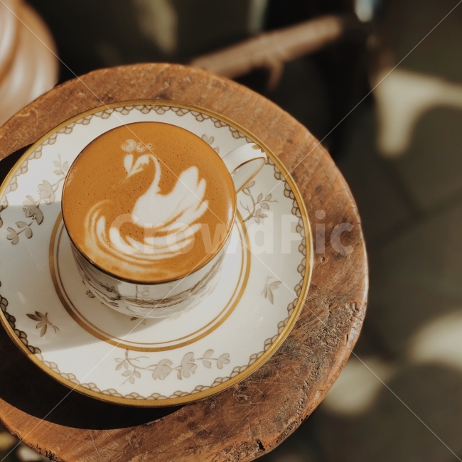 백조한마리,호수,햇살,분위기,모닝커피,커피,카페,coffee,cafe,감성,sensible,feeling