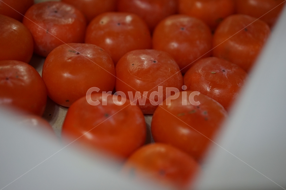 감,홍시,과일,음식,주황색,음식,식재료,요리,food,cook,meal,dishes,food reserves,과일,열매,fruit