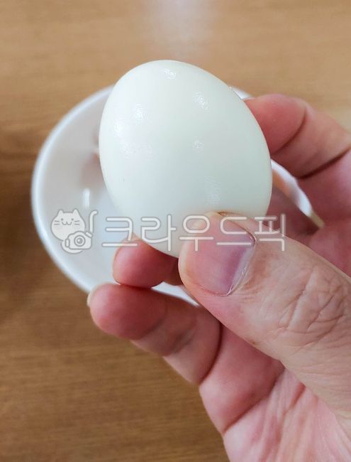 egg,계란,food,음식,삶은계란,손