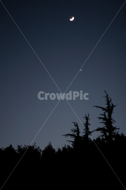 nature,자연,outdoors,옥외,tree,밤하늘,night,sky