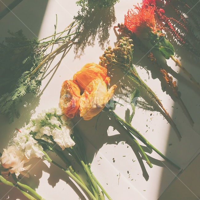 꽃,꽃말리기,flower,주황색꽃,오렌지색꽃,꽃,flower,감성,sensible,feeling