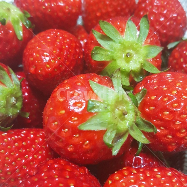 딸기,빨강,red,딸기씨,과일,상큼,식욕