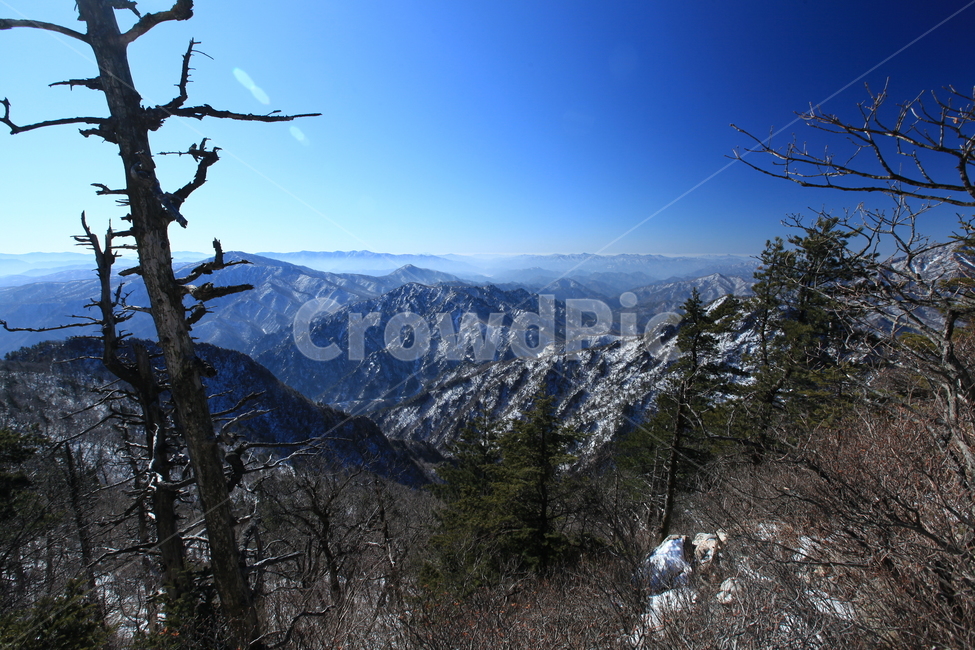 설악산,겨울산행,파란하늘,대청봉,능선,겨울나무,설원,등산,겨울,계절,winter,season,자연,풍경,nature,landscape,tree,나무,plant,식물,fir,전나무