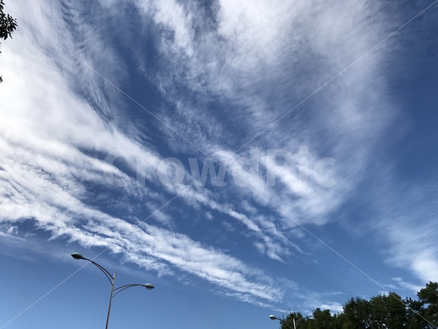 하늘,가로등,나무,가을하늘,가을날씨,자유,낭만,분위기,시원함,tree,sky,bluesky,fall,nice,weather,구름,cloud,자연,풍경,nature,landscape,outdoors,옥외,azure sky,푸른 하늘