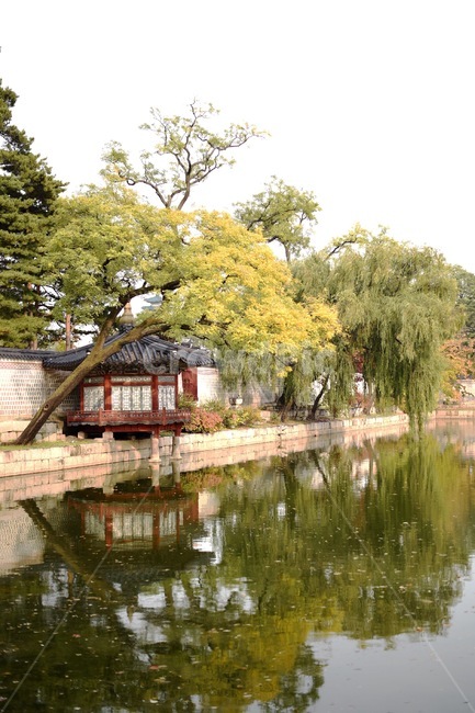 가을,단풍,경복궁,궁,풍경