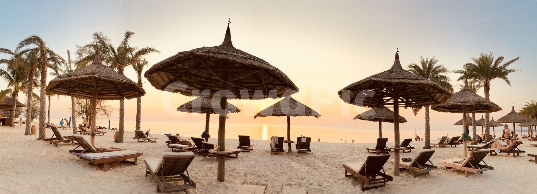 해안,beach,베트남,바다,야자수,동남아