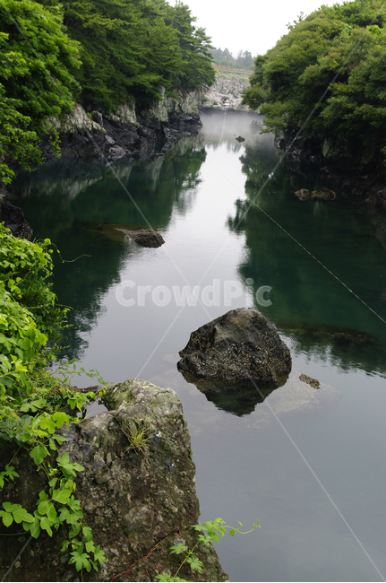 제주,쇠소깍,풍경,하천,나무,식물,자연,풍경,nature,landscape,한국자연풍경,한국자연경관,korea nature landscape,제주도,jeju,jeju island,water,물