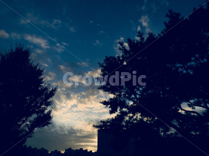 가을,하늘,낙엽,천고마비,날씨,자연,풍경,nature,landscape,outdoors,옥외